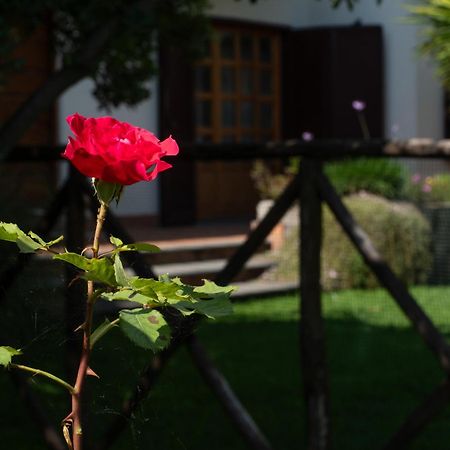 La fastuca casa vacanze Villa Nicolosi Esterno foto