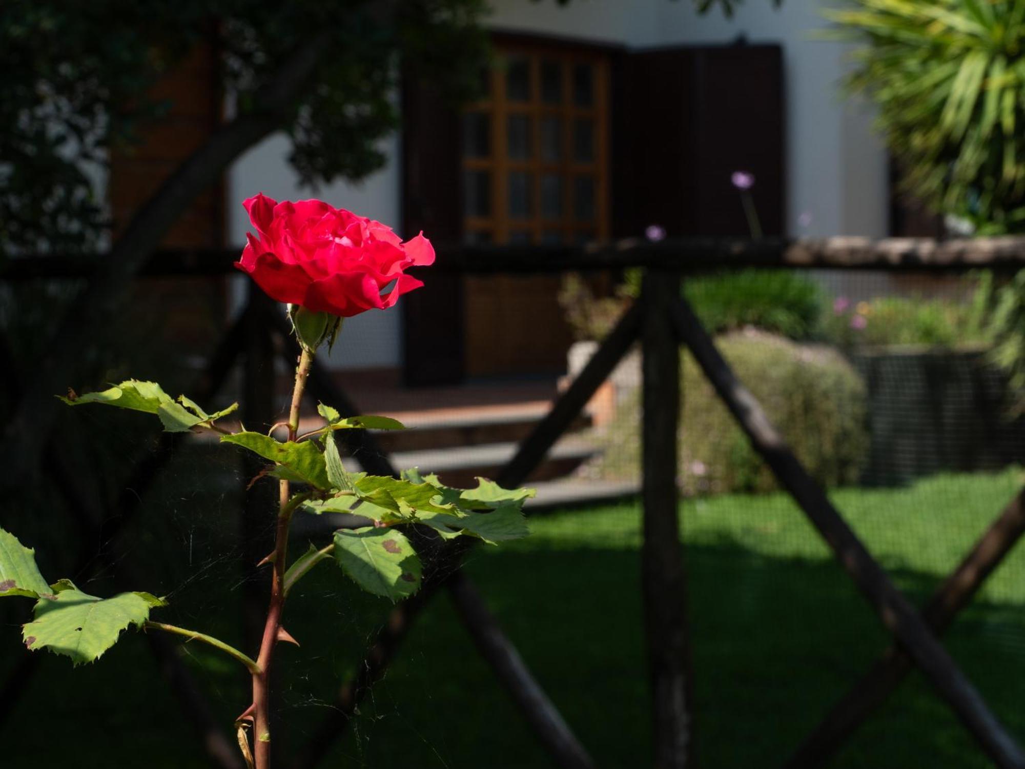 La fastuca casa vacanze Villa Nicolosi Esterno foto