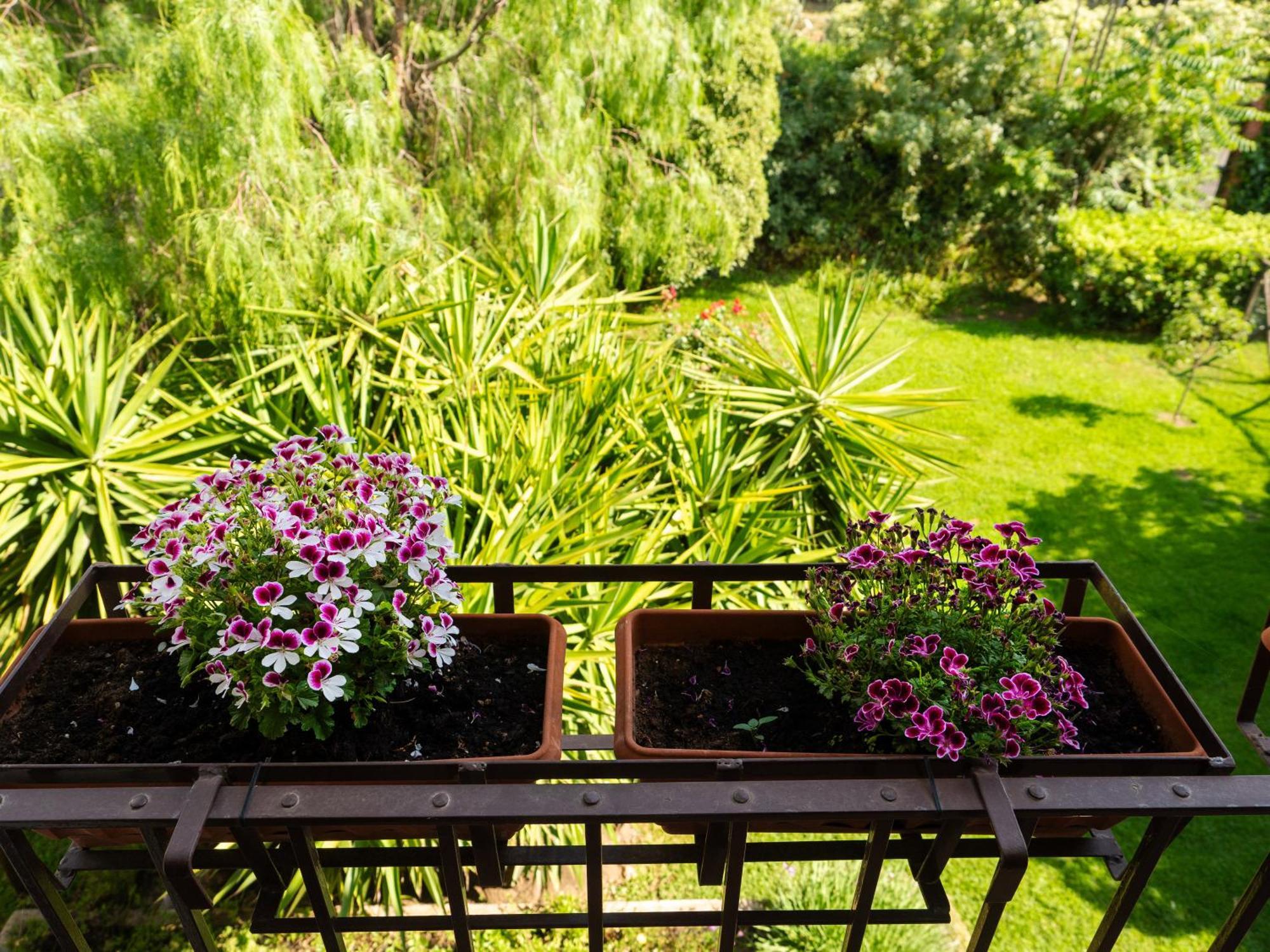 La fastuca casa vacanze Villa Nicolosi Esterno foto